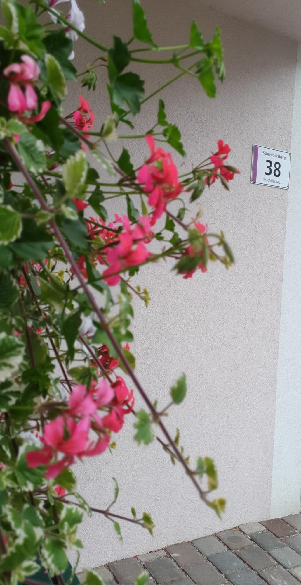 Ferienwohnung Blick Ins Gruene Rossleithen Zewnętrze zdjęcie