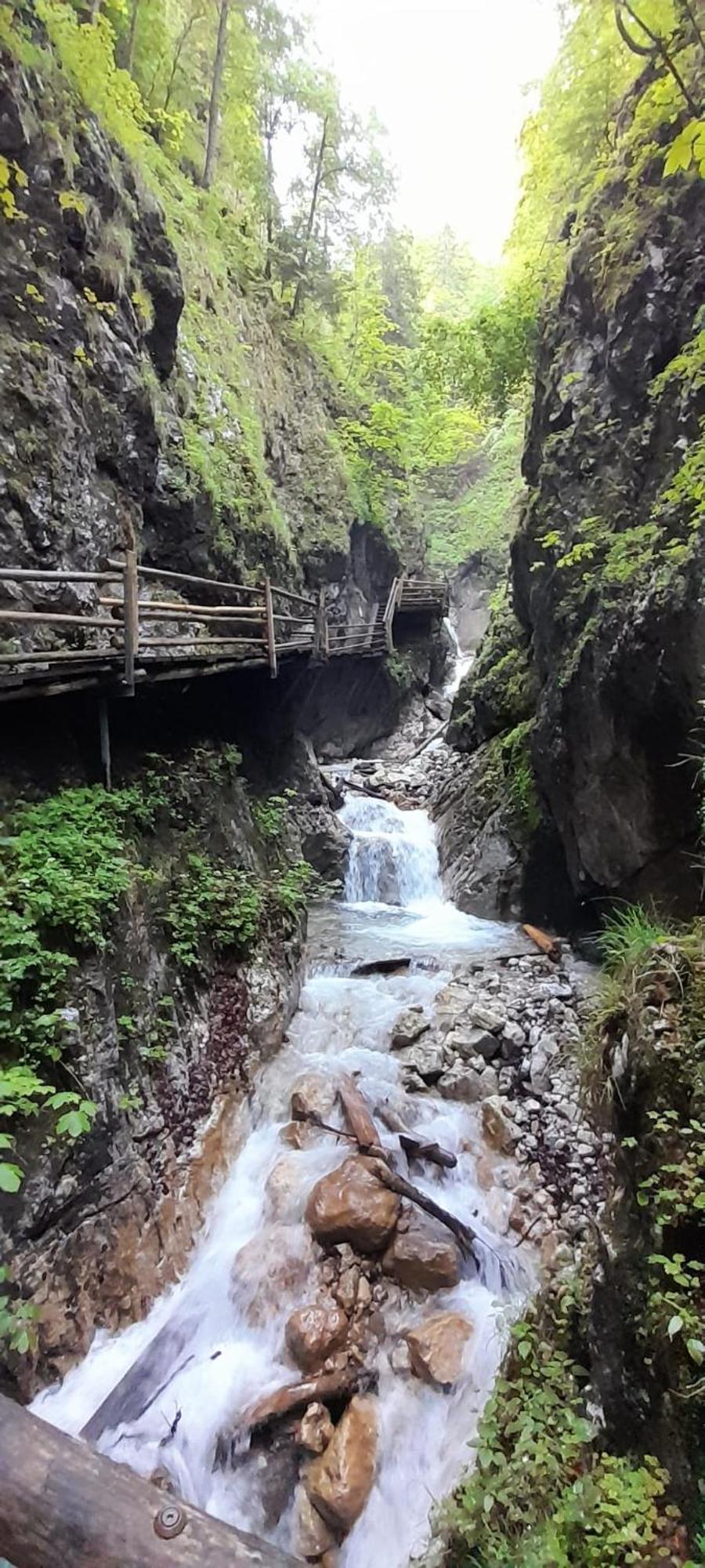 Ferienwohnung Blick Ins Gruene Rossleithen Zewnętrze zdjęcie